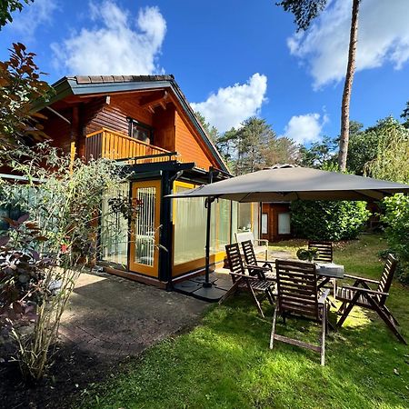 Houten Chalet/Bungalow In Het Bos, Sauna, Jacuzzi Meijel Екстериор снимка